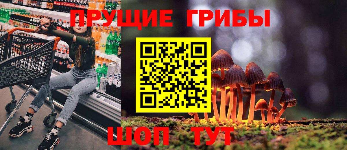 Галлюциногенные грибы ЛСД  Вход с VPN  Псилоцибиновые грибы Psilocybe  Новоалтайск 